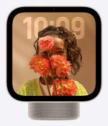 Apple HomeView 
