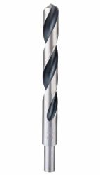 Bosch Broca helicoidal HSS PointTeQ 