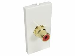 Cables Direct AV-MOD1RCARD toma de corriente RCA Blanco 