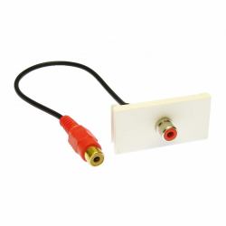 Cables Direct ZZ-MOD-1RCAR módulo de conector de red 