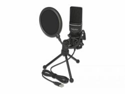 DeLOCK Conjunto de micrófono de condensador USB - para difusión de contenido multimedia, juegos y voces 