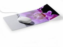 Durable 5747-19 Transparente 