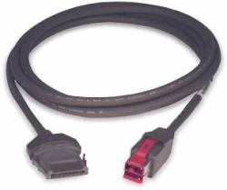 Epson 2150435 cable paralelo Negro 3,66 m 