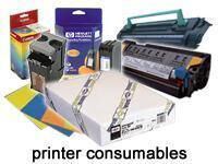 Epson Rollo de Enhanced Adhesive Synthetic Paper, 24" x 30,5 m, 135 g/m² 