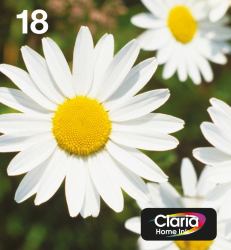 Epson Daisy Multipack 4-colours 18 EasyMail 