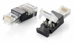 Equip 121163 conector RJ-45 Negro, Transparente 