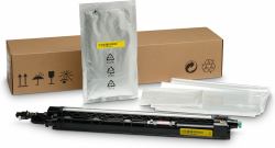 HP LaserJet Yellow 720000páginas revelador para impresora 