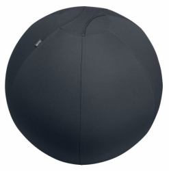Leitz Active Sitzball 65cm pelota de ejercicios Gris De tamaño completo 