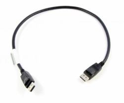 Lenovo 0.5m DisplayPort 0,5 m Negro 