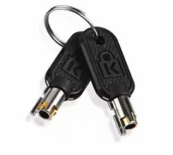 Lenovo 4Z10P40249 accesorio para candado de cable Llave Gris 