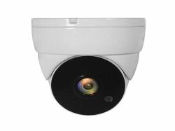 LevelOne ACS-5302 cámara de vigilancia Almohadilla Cámara de seguridad CCTV Interior y exterior Techo 