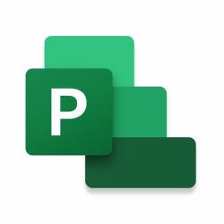 Microsoft Project Standard 2021 Office suite Completo 1 licencia[s] Plurilingüe 