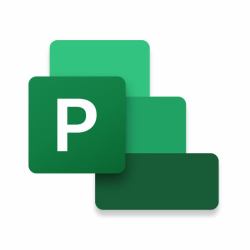 Microsoft Project Standard 2021 Gestión de proyectos 1 licencia[s] 