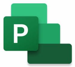 Microsoft Project Standard 2024 Gestión de proyectos Completo 1 licencia[s] 