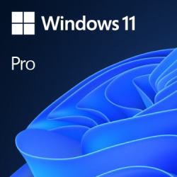 Microsoft Windows 11 Pro 1 licencia[s] 