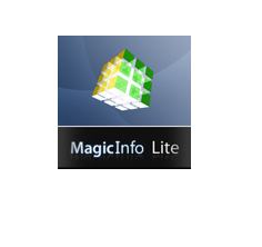 Samsung MagicInfo Lite S/W Server License 1 licencia[s] 