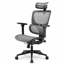 Sharkoon OfficePal C40M Asiento de malla Respaldo de rejilla 