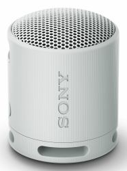 Sony SRS-XB100 Altavoz monofónico portátil Gris 