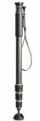 Gitzo GM2542 monopod para cámara 1/4, 3/8" Carbono Negro 
