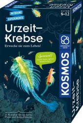 Kosmos 65787 