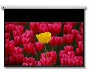 Optoma Panoview 16:9 106" pantalla de proyección 2,69 m [106"] (Optoma Panoview DE-9106EGA - projektio)