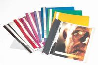 Durable CLEAR VIEW FOLDER 2570 A4 archivador Rojo (Durable Clear View A4 Folder Red [50])