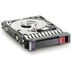 HPE 300GB 6G SAS SFF disco rigido interno 10000 Giri/min 2.5" (300GB 6G SAS 10K 2.5" SFF HD - Warranty: 12M)