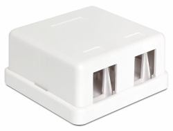 DeLOCK 86207 cavo di collegamento 2x Keystone Bianco (Delock Keystone Surface Mounted Box -)