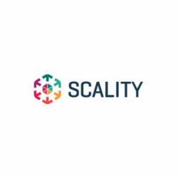 HPE Scality RING HDD Geo Aware 1PB-12PB SW [per TB] with REST and SWIFT Base E-LTU for HP ProLiant Svrs Almacenamiento local (SCALITY RING HDD GEOAW 1PB-12PB E-LT)