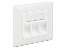 DeLOCK 86194 toma de corriente RJ-45 Plata, Blanco (Delock Keystone Wall Outlet - stik til)