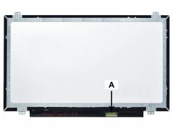 B3120513