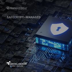 DataLocker SafeCrypt Managed by SafeConsole Renewal 3 Years 1 licencia[s] 3 año[s] (RENEWAL: SafeCrypt Managed Cloud Encryption Gateway 3 year license)