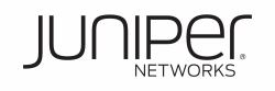 Juniper Next Day Support 