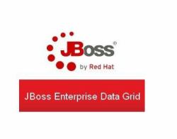 Red Hat JBoss Data Grid 1 año[s] 