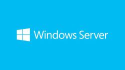 Microsoft Windows Server 2019 Datacenter 1 licencia[s] (Microsoft)