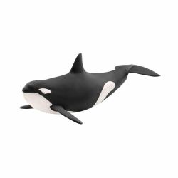 schleich WILD LIFE 14807 action figure giocattolo (Schleich Wild Life - Killer Whale)