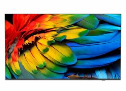 Philips 75HFL6214U 190,5 cm [75"] 4K Ultra HD Smart TV Wifi Antracita 400 cd / m² (75" 75HFL6214U Commercial TV - 75" Black Commercial TV 4K UHD 400 cd/m2)