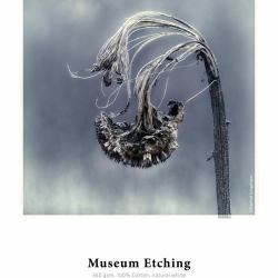 Hahnemühle Museum Etching Natural, Blanco Mate (MUSEUM ETCHING-17IN 12M 350GSM)