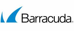 Barracuda Networks Instant Replacement 1 licencia[s] 