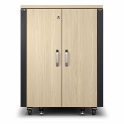 APC AR4017IA armario rack 17U Rack o bastidor independiente Color madera de arce, Negro (SOUNDPROOF 17U RACK 230V MAPLE)