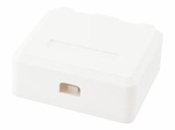 Equip 125124 caja de tomacorriente Blanco (2-Port Keystone Jack Surface - Mount Box - Warranty: 12M)