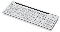 Fujitsu KB520, RO teclado USB Gris 