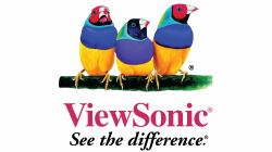 Viewsonic 3YOSS-CD65 extensión de la garantía 1 licencia[s] 3 año[s] 