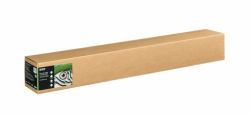 Epson C13S450272NQ carta per plotter 15 m 111,8 cm (Epson Fine Art II - Cotton - matte - 490 micron - smooth bright - Roll [111.8 cm x 15 m] - 300 g/mÂ² - 1 roll[s] box - rag paper)