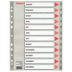 Esselte 100114 lengüeta de índice (Esselte register PP A4 Jan-Dec [GB] gr)