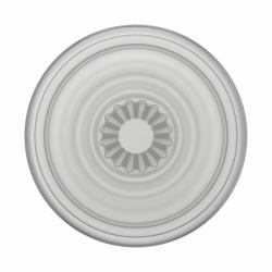 PopSockets PlantCore (POPSOCKETS PopGrip Plant Faded Stone)