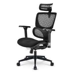 Sharkoon OfficePal C40 Asiento acolchado Respaldo de rejilla (Sharkoon OfficePal C40 Polstret sÃ¦de R)