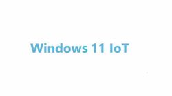 Advantech Win 11 IoT Ent Comercial 1 licencia[s] Descarga electrónica de software [ESD, Electron...