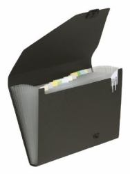 Snopake 11219 carpeta Negro A4 (Snopake GRS Organiser 13 part A4 Black- 1 Organiser)