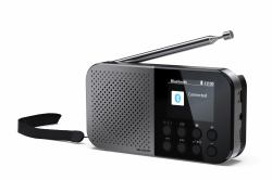Sharp DR-P520 Personal Digital Gris (Sharp DR-P520[GY] OSAKA Pocket/Handhel)